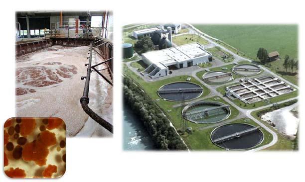 Wastewater Treatment Plant, Austria 0