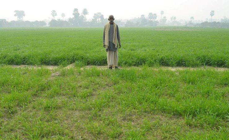 In Person: Promoting innovation to boost yields Pankaj Kumar Singh of Muzaffapur district of Bihar sought assistance from CSISA for his 2013 14 wheat crop, and as a result planted his wheat early,