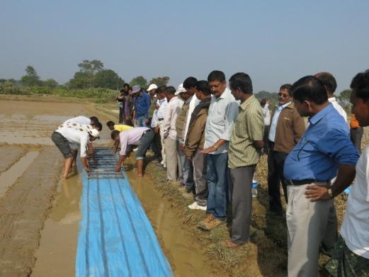 In Focus: Introducing mechanical rice transplanting to Odisha In 2013, CSISA partnered with the Odisha Department of Agriculture to introduce mechanical rice transplanting and community mat nursery