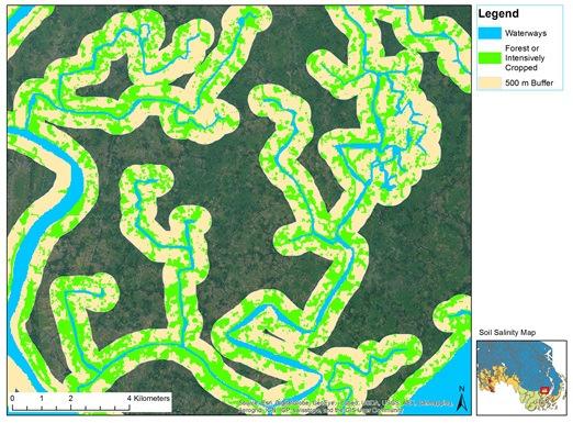 In Focus: Geospatial analysis for technology targeting Official statistics on crop land coverage, crop production, and yield generally lack detailed spatial information.