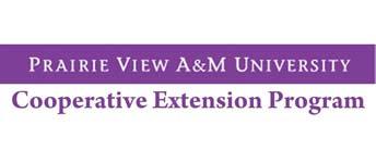 Texas A&M AgriLife Extension Service and The Cooperative Extension Program at Prairie View STATEMENT BY ADMINISTRATION The Professional Career Ladder System for County Extension Agents provides an
