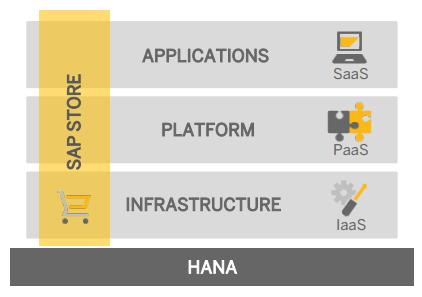 Why SAP HANA Cloud Platform?