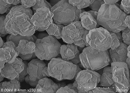 SEM image of Al 2 O 3 The micrograph of pure PMMA shows a homogenous phase. SEM showed how the PMMA microspheres are inserted in the fine-grained solid-organic matrix.