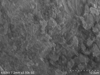 No density gradients of templates were observed in the cross sections analysed by sem, showing in all cases a homogenous microstructure.