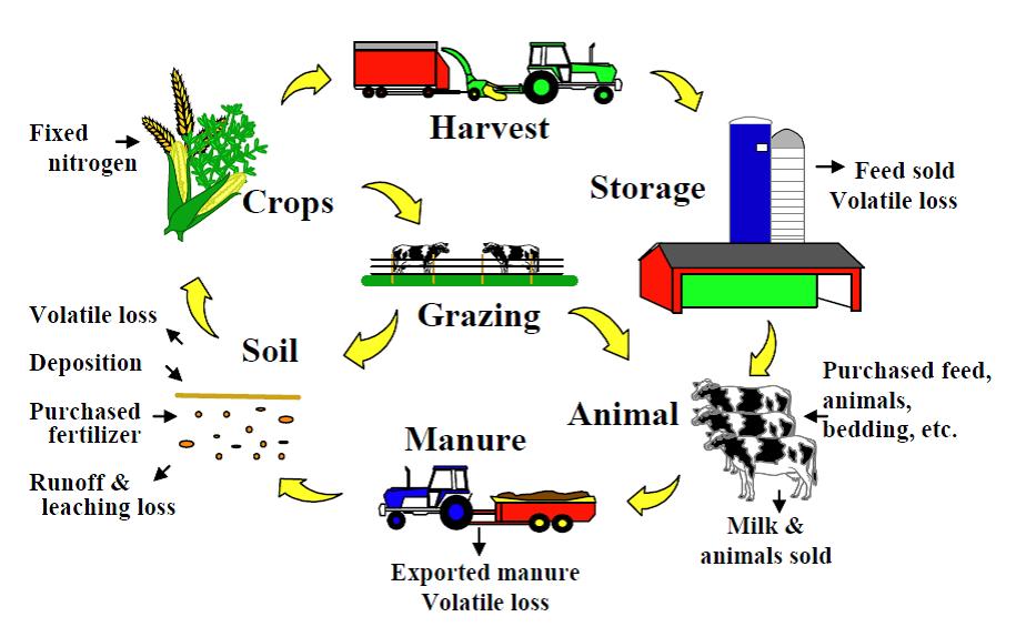 Whole farm simulation with IFSM IFSM derives from DAFOSYM, a dairy forage system model IFSM simulates all major farm components at process level Crop production Manure handling, tillage, planting,