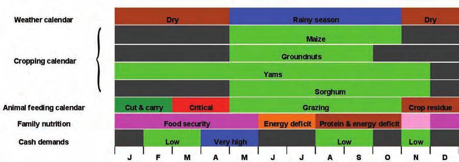The second baseline scenario compares three different cropping systems for maize and groundnuts: (i) continuous cropping, (ii) crop rotations, and (iii) periods of fallow.