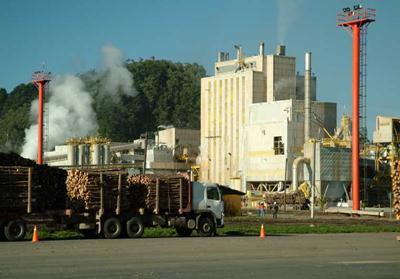 capacity since July 2008 Licancel Mill US$127MM investment Acquired in