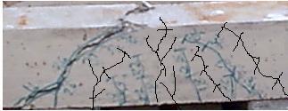 Crack Pattern for beam () after 6 days of Corrosion Acceleration Figure 3. Crack Pattern for beam () after 6 days of Corrosion Acceleration Figure 32.
