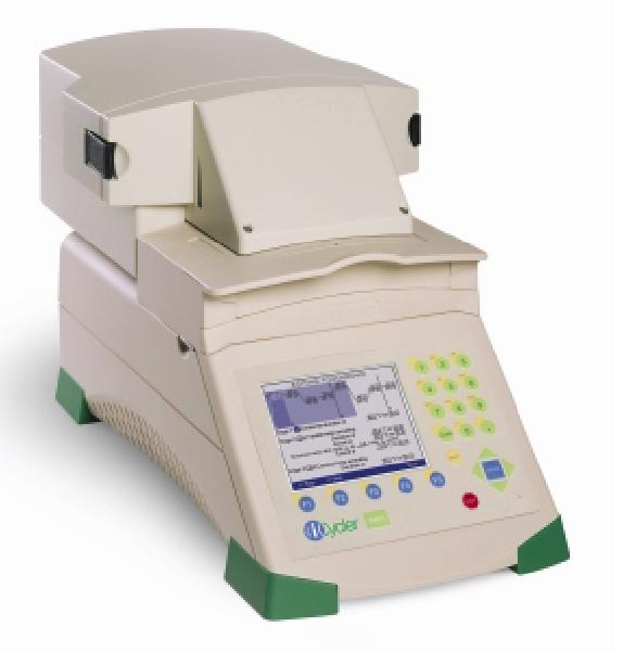 REAL TIME PCR kinetic approach early