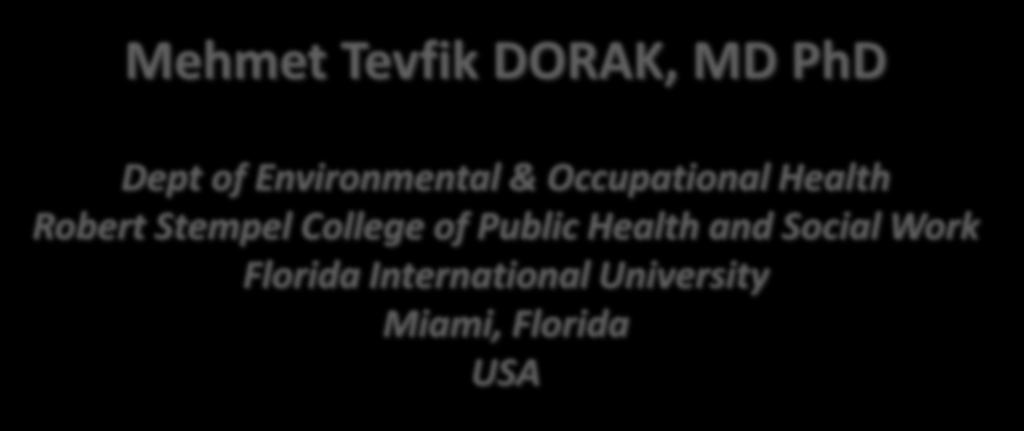 Social Work Florida International University