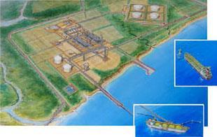 facility Oil and gas (multiphase)
