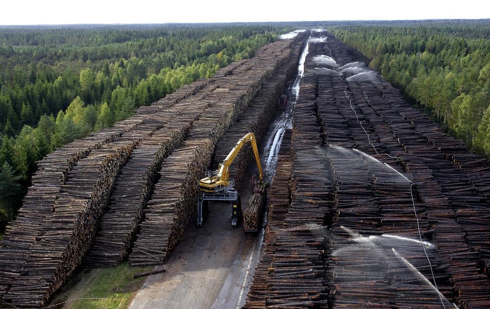 Timber storage in Sweden after Gudrun storm, 2005, max 1 month fuel for SSAB blast furnace More