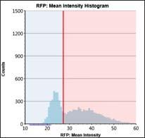 Histogram 13% RFP