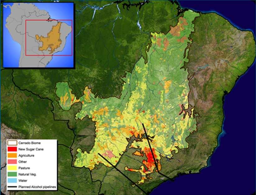 Biodiversity Impacts 1: Deforestation Mainly indirect deforestation (chain of activities) illegal (selective) logging cattle farming (large scale) soya fields Indirect changes