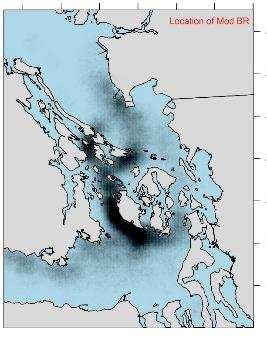 Southern resident killer whale vessel interactions SRKW studies