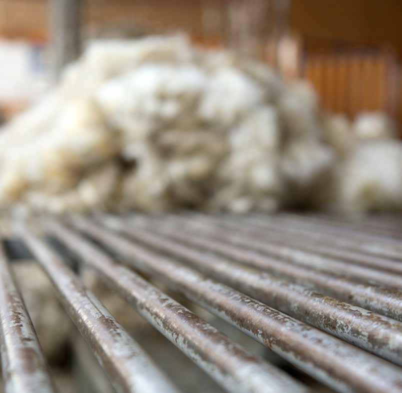 Beef + Lamb New Zealand Economic Service Mid-Season Update 2012-13 4 Wool In 2012-13, the amount of shorn wool sold is forecast at 147,000 tonnes greasy, up 3.2 per cent on the previous season.