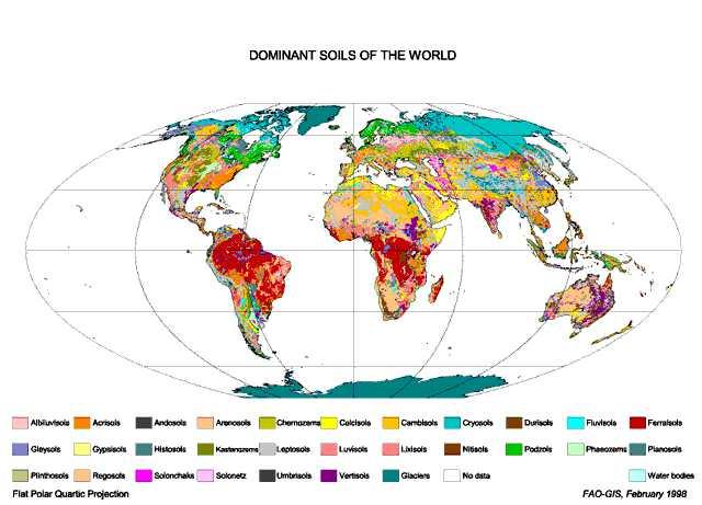 Soil map