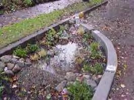 Stormwater Systems Replicate natural systems Control stormwater quality, rate