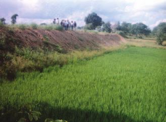 RAINFED AGRO-ECOSYSTEM Table 1: Performance of water harvesting structures and economic returns for farmers in 3 states Location Farmers Area Yield of paddy (q/ha) Net returns over Cost of (ha) With