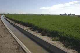 Crops are grown with water transported to fields via irrigation ditches (and this water originates in the