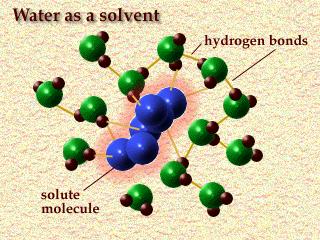 Water as a universal solvent Water is called a universal solvent because is dissolves more substances (solutes) than any other liquid.