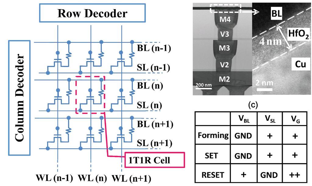 1T1R Structure and 1kb Array The HfO 2 based CBRAM is integrated on the top of transistor; The