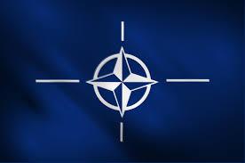 NATO North Atlantic Treaty Organisation April 1949 Stalin s threat to Berlin and the communist takeover in Czechoslovakia persuaded the West they needed a formal military alliance to protect them