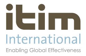 itim international offers its clients the possibility to use culture as a competitive advantage.