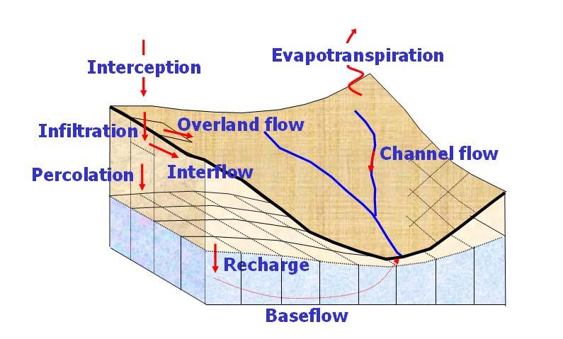 infiltration, percolation, interflow, and baseflow simulate only hydrology and pesticides.