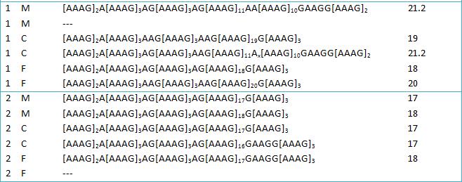 Mutation studies Rolle NGS Allele sequence No usable sequence information obtained