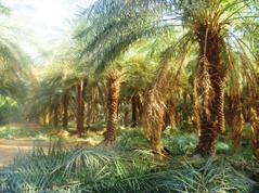 Another important step is the cleaning and pruning of palms and their