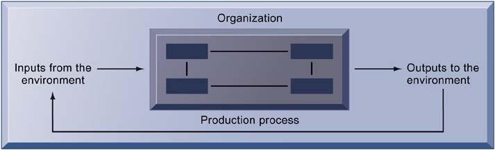 What is an organization?
