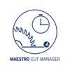 MAESTRO CUT MANAGER: simulator for cycle time calculation, simulated execution of the cutting diagrams of single or multi
