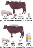 we choose what to eat, we choose how we use resources Feedlot agriculture Feedlots (factory farms): also called concentrated animal feeding operations (CAFOs) Huge warehouses or pens deliver food to