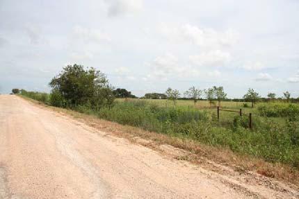 ) Looking south along CR 250, brush and scattered Looking north along CR 250
