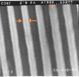 After which the anisotropic O 2 transfer etch amplified the low aspect ratio relief structure in the imprinted silicon photopolymer into a high aspect ratio feature in the transfer layer. Figure 4.