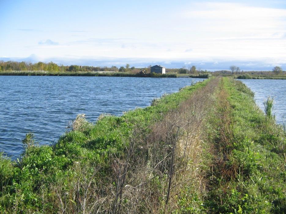 Study Overview The Township of North Glengarry has initiated a Schedule C Municipal Class Environmental Assessment for the proposed expansion of the Alexandria Sewage Lagoon Treatment Facility.