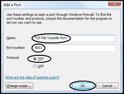 The Add a Port window displays. Give the new port a name (for example, TCP File Transfer Port ), enter your selected port number, and select the TCP radio button as the protocol type.
