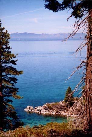 Light Penetration And Aquatic Plant Growth Lake Tahoe deepest rooted aquatic plants. 136 feet.
