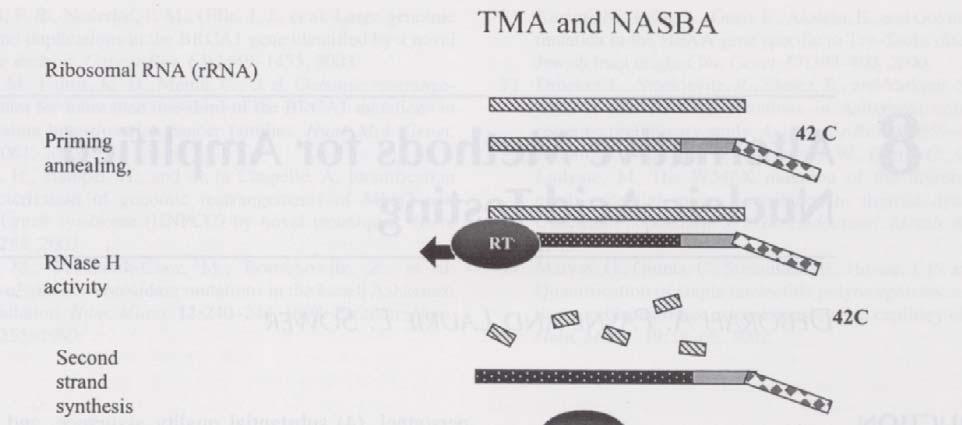 TMA and NASBA both involve: RNA RT-PCR DNA RNA