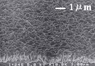 confirmed that the AgI solution shows a wide process window for Ag plating. Figure 3 shows the SEM images of the surfaces of the Ag plated films under different current densities.