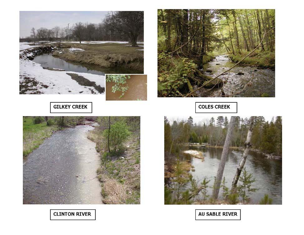 Bugs, Brook Trout, and Water Quality: Stream Habitat Photos