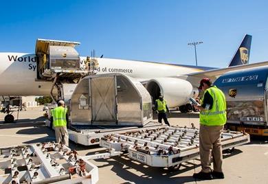Air Cargo Business Development for Airports This new course is designed for airport managers who are involved in business development and in strategic plans to enhance an airport s cargo activity:
