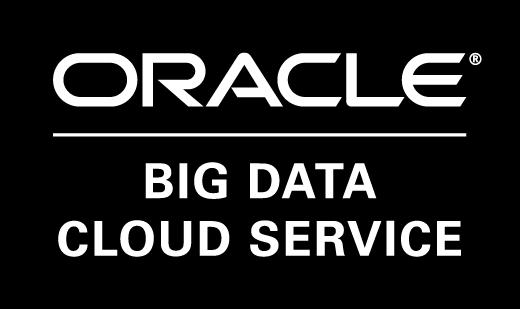 KEY BENEFITS Oracle Big Data Cloud Service speeds time to value by providing a cloudbased automated service for big data processing on Cloudera CDH and Apache Spark.