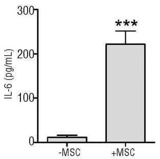 MSC Licensing IFN-γ +/-TNF-α treatment is conventionally used to license MSCs IFN-γ TNF-α CD54 CD274 HLA-DR CD106 IL-6 CXCL-10 PGE2