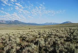 Goal: Build wet meadow resilience for sage- grouse Temperature, Drought, Erosion Water table Priority adapta2on strategies 1.