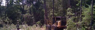 Logging Residue Harvesting operations produce logging residue or