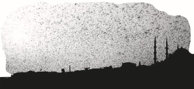 5 million a swarm the size of Niamey (or