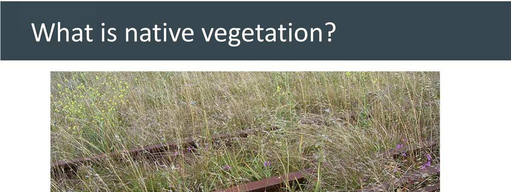 Under the Victoria Planning Provisions native vegetation is defined as plants that are indigenous to Victoria, including trees, shrubs, herbs and grasses.