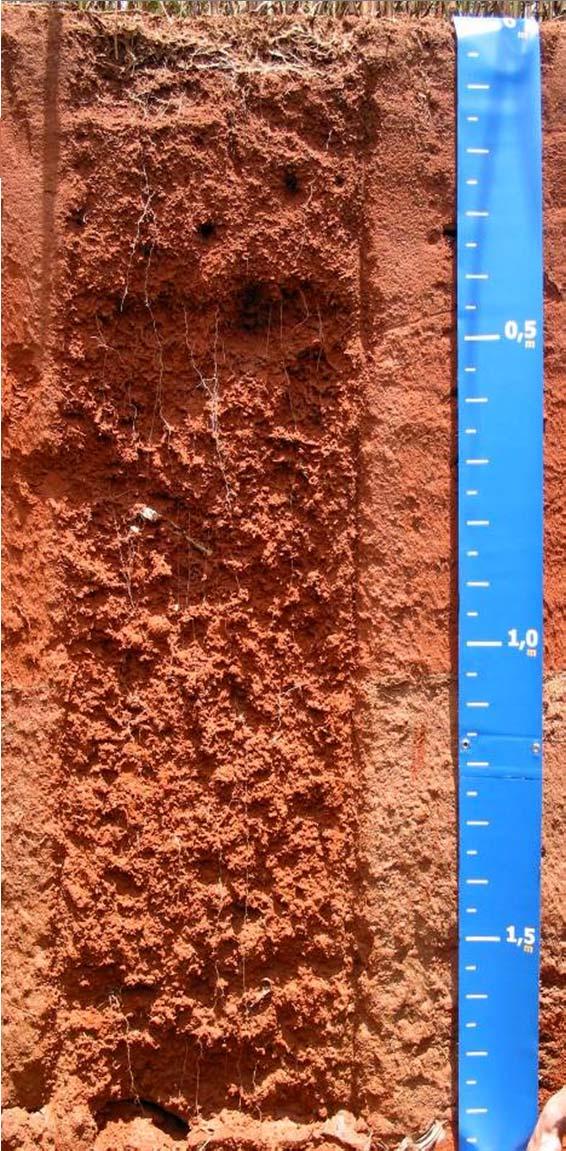 in which plant, animal, and human health is promoted Missouri (Menfro silt loam) Site-specific comparisons limited within a